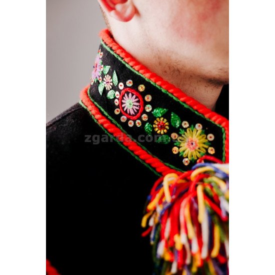 Сардак гуцульський (КШ 01-50)