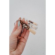 Брілок для ключів (ОПТ 02-69)