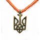 Згарда бронзова (ЗБ 01-42)