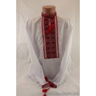 Вишиванка для хлопчика (ВХ 01-08)